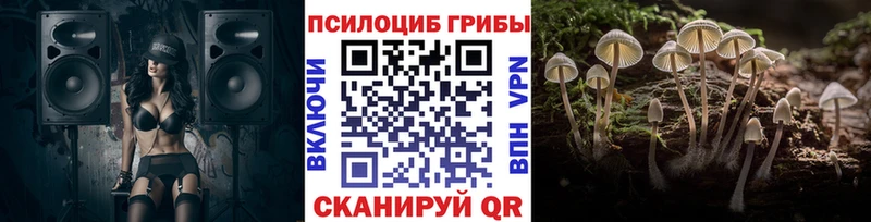 блэк спрут магазин продажи наркотиков Макаров Галлюциногенные грибы MAGIC MUSHROOMS